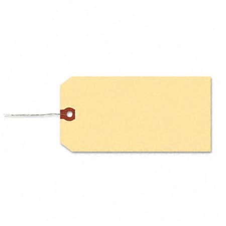 Workstationpro Shipping Tag with Reinforced Eyelet Paper/Double Wire 5-1/4 x 2-5/8 MLA 1000/Pk TH193474